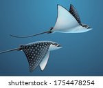 Realistic Stingrays Flapping...