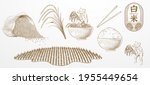 rice farming elements designed... | Shutterstock .eps vector #1955449654