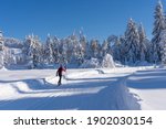 beatiful active senior woman cross-country skiing in fresh fallen powder snow in the Allgau alps near Immenstadt, Bavaria, Germany