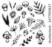 vector set of hand drawn forest ... | Shutterstock .eps vector #1677054817