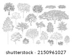 Minimal style cad tree line, Side view, set of graphics trees elements outline symbol for architecture and landscape design drawing. Vector illustration in stroke fill in white. Tropical