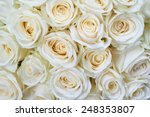 Many white roses as a floral background                               