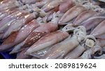 Small photo of Fresh squid on a tray. Close-up squid or splendid squid : (Loligo spp.) Lined up beautifully on a stall in a traditional Thai fishery market. selective focus