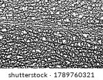 grunge texture of an organic... | Shutterstock .eps vector #1789760321