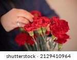 Bouquet Of Carnations. Red...