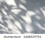 shadow of the leaves on a white ... | Shutterstock . vector #1608329701
