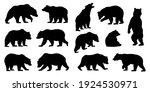Various Bear Silhouettes On The ...