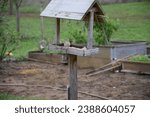 Small photo of Tit eating from a suet ball in a birdhouse in the garden. Ij autumn birds have less food, feeding them in a birdhouse is an option.