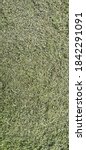Small photo of Artificial grass ​for indoor​ decor​ation​