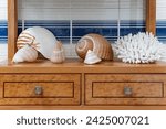 Seashell and coral decor on...