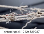 Small photo of The hemp rope is about to break. It is about breaking concepts for, vulnerable issues, Business is in decline. Lack of financial liquidity, business on the verge of bankruptcy