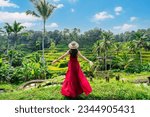 Young female tourist in red dress looking at the beautiful tegalalang rice terrace in Bali, Indonesia
