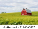Red Barn In The Wheat Fields Of ...