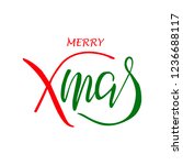 merry christmas red and green... | Shutterstock .eps vector #1236688117