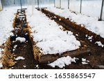 Polycarbonate Greenhouse At The ...