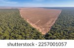 Small photo of Drone panoramic aerial view of illegal amazon deforestation, Mato Grosso, Brazil. Forest trees and agriculture field land. Concept of climate change, global warming, ecology, environment, nature.
