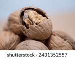 Small photo of Golden Kernel Revealed: A Close-Up of Cracked Walnut Amidst Others, Delve into the world of walnuts with this close-up shot. One walnut stands out, cracked open to reveal its golden kernel