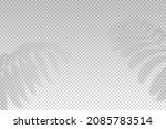 shadow plant leaf overlay... | Shutterstock .eps vector #2085783514