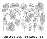 Set Of Tropical Leaves. Drawing ...