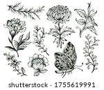 black and white outline... | Shutterstock . vector #1755619991