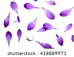 Purple petals isolated on white ...