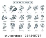 Herbs And Spices Set. Hand...