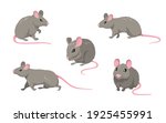 cartoon mouse set. grey furry... | Shutterstock .eps vector #1925455991