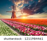 Landscape With Tulips ...