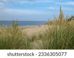 Small photo of A panoramic view on the sandy beach by Baltic Sea on Sobieszewo island, Poland. The beach is scarcely overgrown with high grass. The sea is gently waving. A bit of overcast. Serenity and calmness