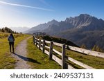 Hiker woman on scenic hiking trail along wooden fence on alpine meadow. View of massive mountain ridges of majestic untamed Sexten Dolomites in South Tyrol, Italy, Europe. Hiking concept Italian Alps