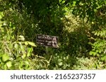 Small photo of Superior, AZ, USA - May 2022: Mescal bean sign at Boyce Thompson Arboretum