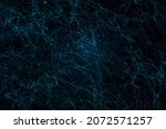 Small photo of blue texture network abstraction natural mycelium mold neurons.