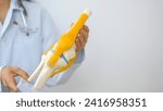 Small photo of Close-up of therapist or orthopedic surgeon showing knee joint model during medical consultation and demonstrating treatment of human cruciate ligament injury