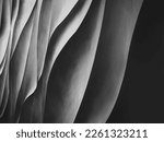 Grey curve texture wall art abstract background