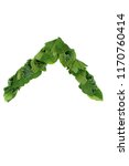 Small photo of ASCII caret (circumflex accent) inverted V-shaped grapheme created from greens. Kale, spinach, oregano, parsley, mint. For projects, presentations, trainings.