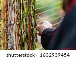 Small photo of Closeup of human hand wearing full sleeves and decorating wampum yellow string with green plants and wood during world and spoken word festival