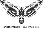Vector Engraving Style Insect...