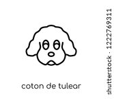 Coton De Tulear Dog Icon....