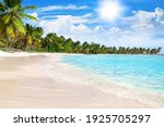 Tropical beach, turquoise sea water, ocean wave, yellow sand, green palms, sun blue sky, white clouds, beautiful seascape, summer holidays, exotic island vacation, caribbean travel, maldives landscape