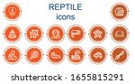 editable 14 reptile icons for... | Shutterstock .eps vector #1655815291