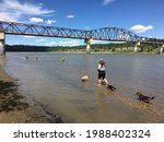 A woman walking her dog with many other dogs playing at a beautiful dog park along with north saskatchewan river in Edmonton, Alberta, Canada