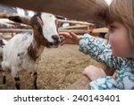 A Young Girl Feeding Goat....