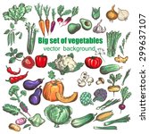 big set of vegetables. vector... | Shutterstock .eps vector #299637107