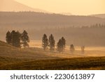 Small photo of Rolling HIlls Of Yellowstone Along The Howard Eaton Trail in golden light