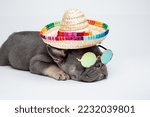 funny French bulldog puppy sleeping on a white background on vacation in a straw hat and glasses
