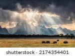 The sunrays break through the clouds over a herd of bison. Sunshine through dark clouds. Cloudy sky sunrays. Sunrays in cloudy sky