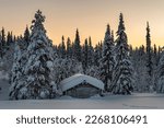 Snow-covered hut in winter landscape, morning atmosphere, Pallastunturi, Pallas-Yllästunturi National Park, Muonio, Lapland, Finland