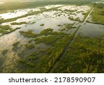 Marshland and swamp landscape....