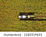 Small photo of Corn Harvest. Forage harvester on maize cutting in field. Harvesting crop in farm field. Self-propelled Harvester for agriculture. Tractor on corn harvest. Aerial View Of A Farmer Harvesting Silage.