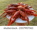 Small photo of Lobster on plate on a wooden table. Crawfish Snack to beer. Crayfish Beer snack dish. Boiled crawfish, red clayfish eat. Fresh cooked Crawfishes.